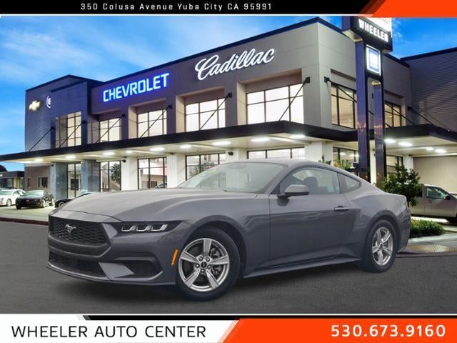 2024 Ford Mustang EcoBoost